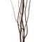 Uniquewise Natural Dry Branches Authentic Willow Sticks for Home Decoration and Wedding Craft, 47 inch QI004415.47 - alternate 8